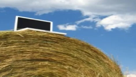 Telecom, Vodafone to compete “fiercely” for rural customers