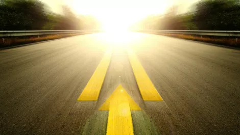 The SDN Ecosystem: forecasts and opportunities