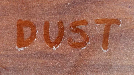 Dust