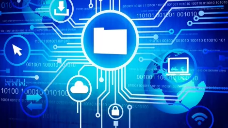 Wellington IoT network goes live
