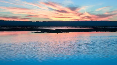 California water
