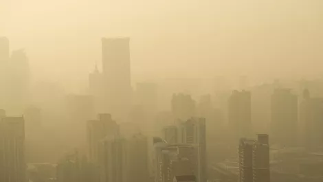 Thinkstockphotos 462846411