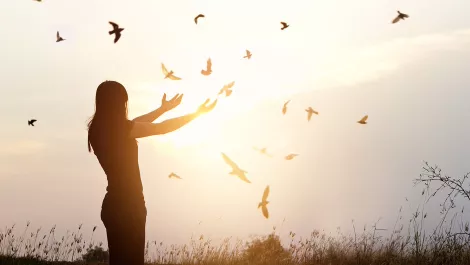 Thinkstockphotos 538354070