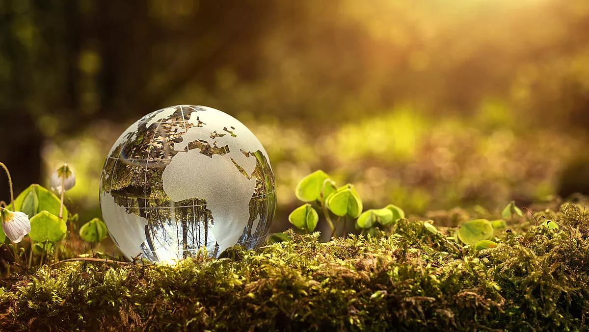 Enterprise sustainability practices not up to par, study finds