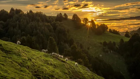 Gettyimages 1177139504