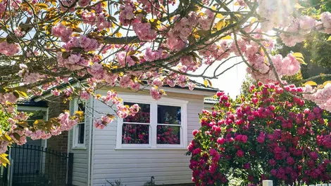 Will spring bring respite in property market downturn?