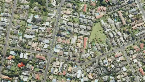 New Zealand cities losing their leaves
