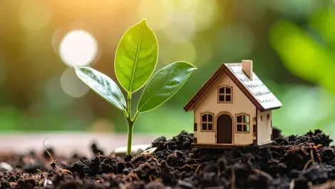 Property market showing ‘signs of revitalisation’