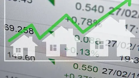 REINZ releases final figures for 2024