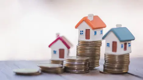 Domestic Real Estate