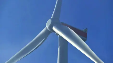 Committed to a green future